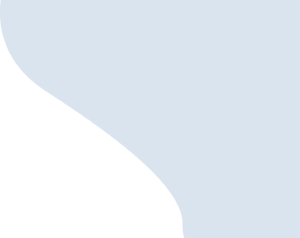 A.p.i. alarm inc