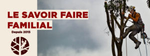 Abattage larivée
