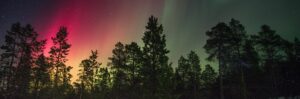 Académie des naturopathes et naturothérapeutes du canada