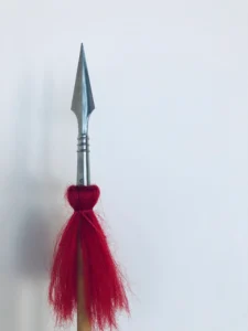 Académie iron tree kung fu