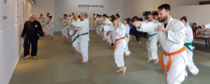 Académie martiale sogobudo jujutsu