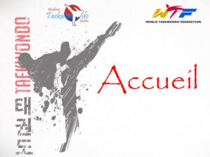 Academy taekwondo de québec