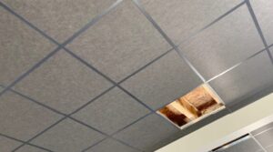 Acoustique plafond suspendu projex