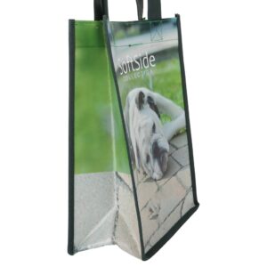 Acpak sacs