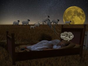 Acupuncture du nord
