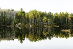 Ad astra domaine du lac placide