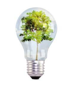 Aep thermal inc