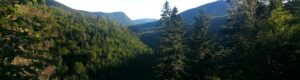 Agence des forets privees-qc