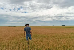 Agriextra - répertoire de machinerie agricole