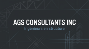 Ags consultants inc