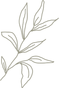 Akasha québec