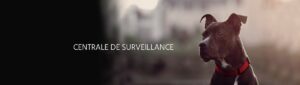 Alarme ste-marie