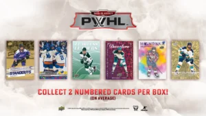 All-in hobby sports