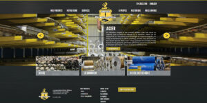 Alliance steel corporation