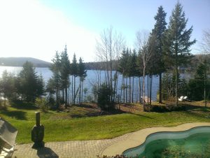 Altitude arboriculture