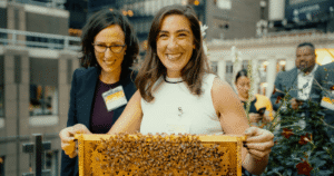 Alvéole | apiculture urbaine à montréal