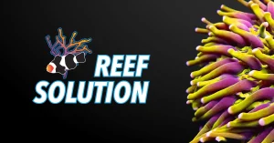 Aquariums reefsolution