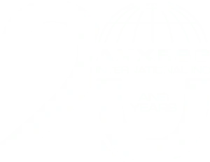 Axxess international inc