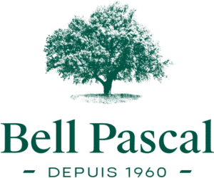 Bell pascal insurance services