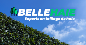 Bellehaie