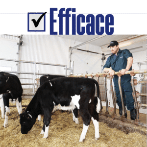 Ciaq - artificial insemination center of quebec