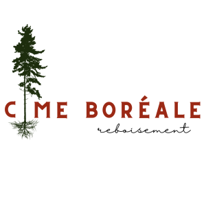 Cime boréale