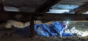Inspections garceau
