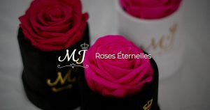 Mj roses
