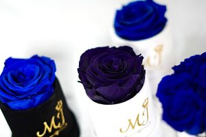 Mj roses