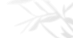 Mojo films