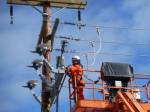 Morin electrique
