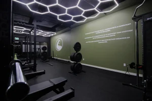 Python the gym