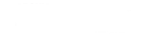 Python the gym