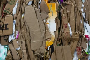 Recycaplus