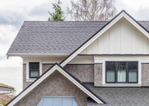 Renovateur elite