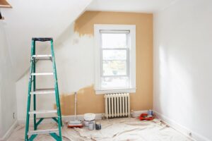 Renovation optimum inc