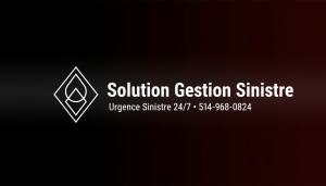 Solution gestion sinistre