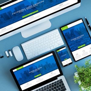 Web experts